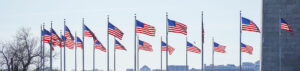 Picture of multiple American Flags